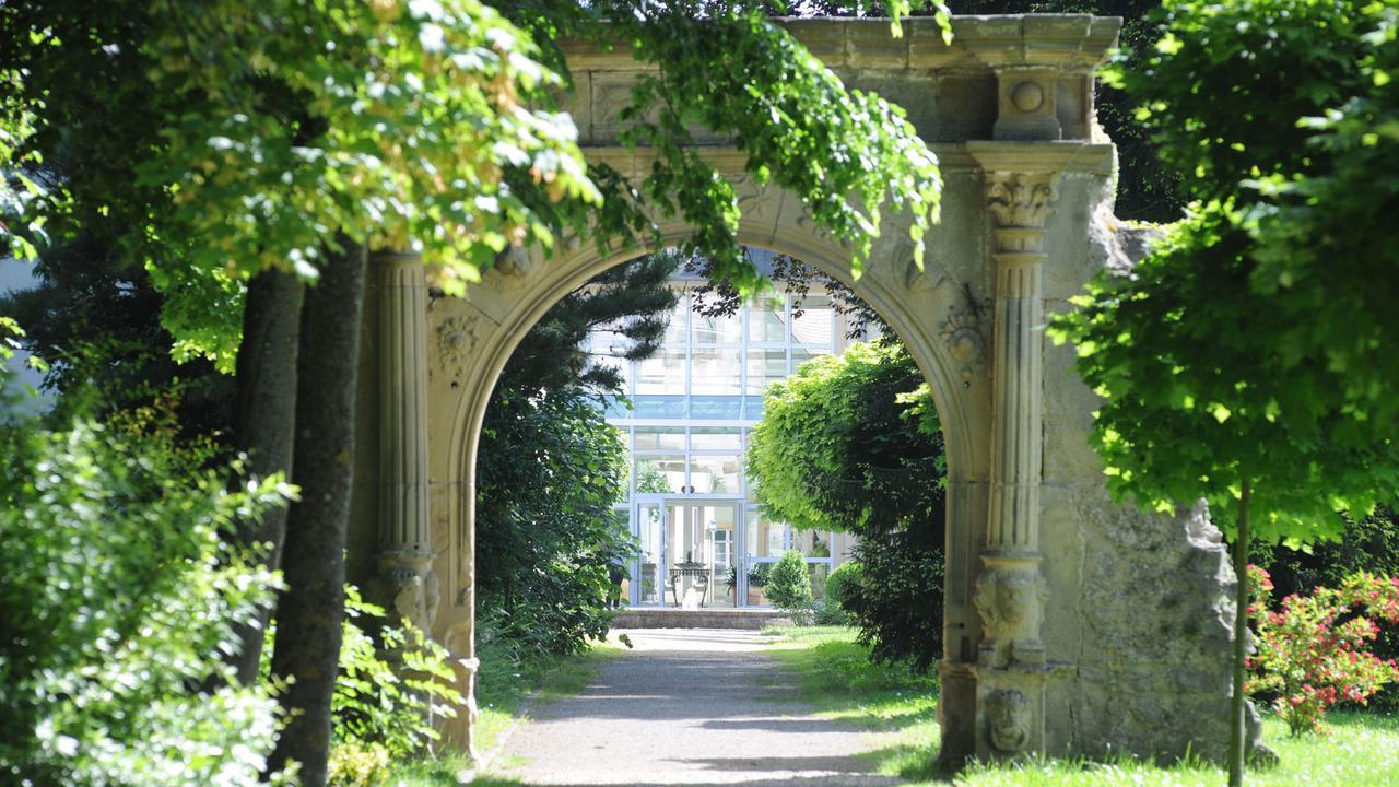 Schlosshotel Neckarbischofsheim מראה חיצוני תמונה